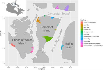 Eastern High Arctic–Baffin Bay beluga whale (Delphinapterus leucas) estuary abundance and use from space